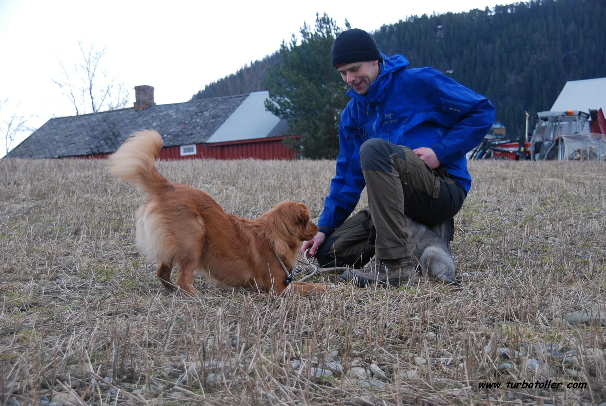 Henrik, Jing & Mauser